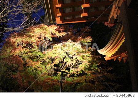 照亮丹山神社的紅葉[奈良縣] 80446968