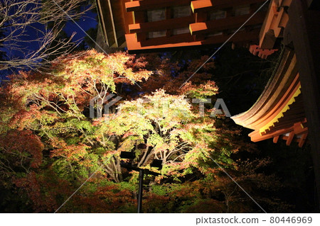 照亮丹山神社的紅葉[奈良縣] 80446969