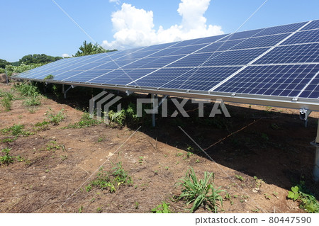 雜草叢生的太陽能發電廠 80447590