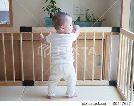 The back view of a half-baby who grabs and stands in the playpen 80447637