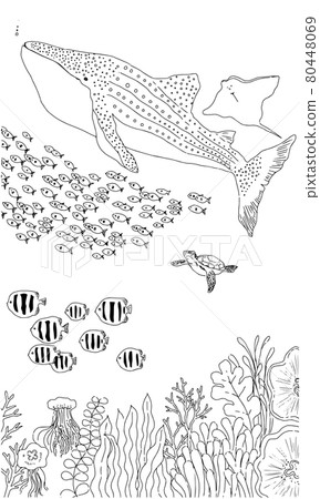 Schools of fish swimming with Jinbei Zaime Schools of fish swimming with Jinbei Zaime 80448069
