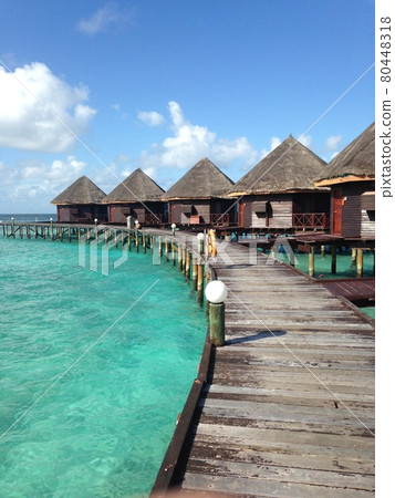 水屋 水屋 80448318