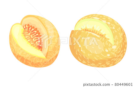 Melon Fruit with Juicy Flesh and Seeds Inside Vector Set Melon Fruit with Juicy Flesh and Seeds Inside Vector Set 80449601