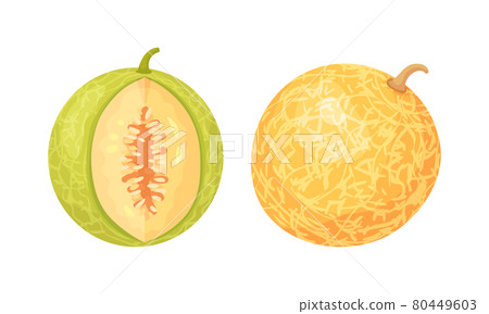 Melon Fruit with Juicy Flesh and Seeds Inside Vector Set Melon Fruit with Juicy Flesh and Seeds Inside Vector Set 80449603