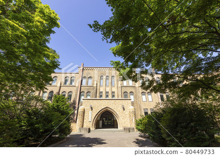 Hokkaido University General Museum 80449733