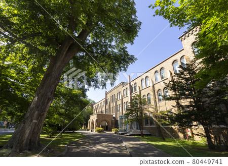 Hokkaido University General Museum 80449741