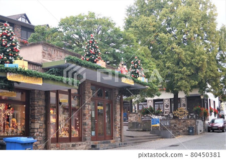 Scenery of Ruedesheim Tsugumi Yokocho, Germany Scenery of Ruedesheim Tsugumi Yokocho, Germany 80450381