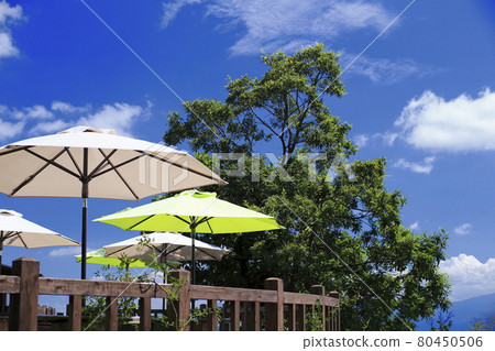 Terraces and umbrellas on the Kusumi Plateau, Oita Prefecture 80450506