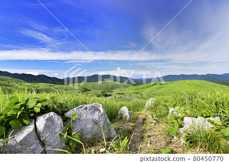 Scenery of Akiyoshidai Karst Plateau in Mine City, Yamaguchi Prefecture 80450770