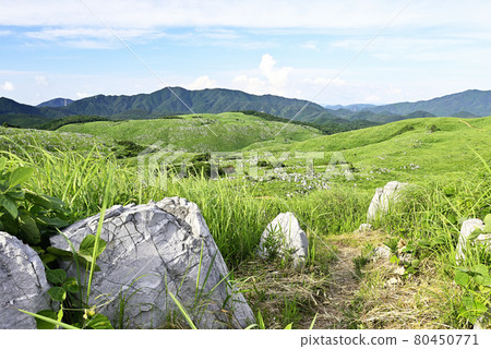 Scenery of Akiyoshidai Karst Plateau in Mine City, Yamaguchi Prefecture 80450771