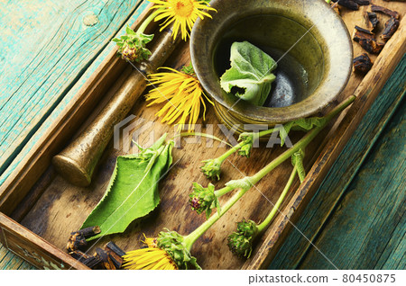 Elecampane root tincture Elecampane root tincture 80450875