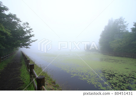 Noroyama Hiike in June 80451431