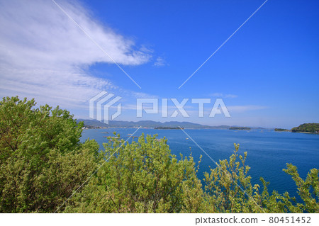 Seto Inland Sea seen from Oshiba Bridge Seto Inland Sea seen from Oshiba Bridge 80451452