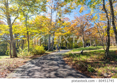 紅葉步道(小山火神丸) 紅葉步道(小山火神丸) 80451745