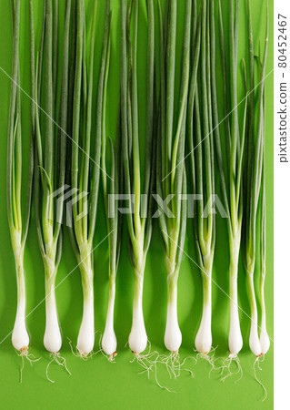 fresh green onions on green background 80452467