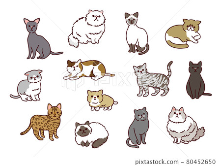 Simple and cute! Illustration of 13 kinds of cats 80452650