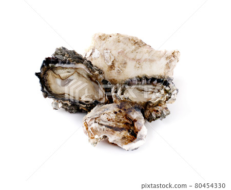 oyster isolate on white background. 80454330