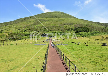 Hachijo Fuji Fureai Ranch Hachijo Fuji Fureai Ranch 80455142