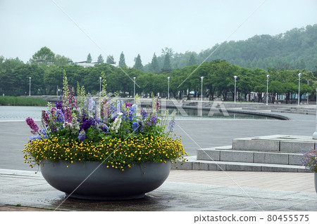 韓國首爾上岩世界盃公園 80455575