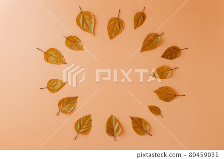 Beautiful autumn yellow leaves with blank copy space in a middle centre on orange pastel background. Hello Autumn of thanksgiving holiday Minimalistic creative concept. 80459031