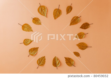 Beautiful autumn yellow leaves with blank copy space in a middle centre on orange pastel background. Hello Autumn of thanksgiving holiday Minimalistic creative concept. Beautiful autumn yellow leaves with blank copy space in a middle centre on orange pastel background. Hello Autumn of thanksgiving holiday Minimalistic creative concept. 80459032