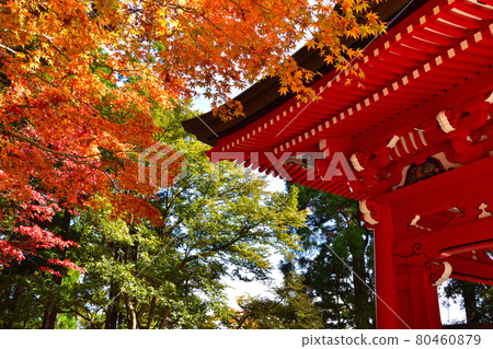 秋季比叡山延歷寺鐘樓 80460879
