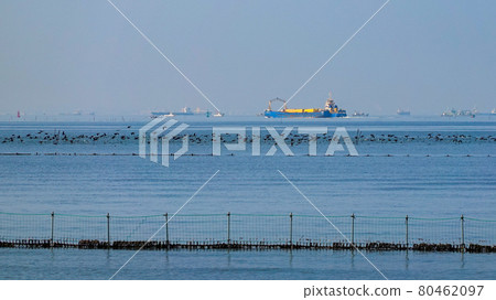 High tide clamming ground Funabashi Sanbanze Kaihin Park High tide clamming ground Funabashi Sanbanze Kaihin Park 80462097