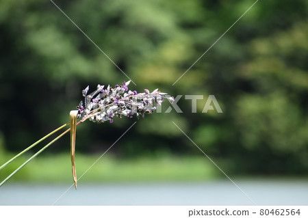 Yamadaike Park 80462564