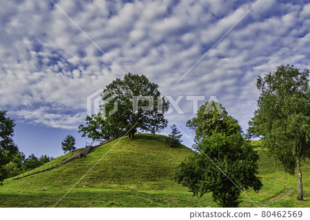Alytus Castle Mound, Wooden Stairs to The Top of The Mound Alytus Castle Mound, Wooden Stairs to The Top of The Mound 80462569