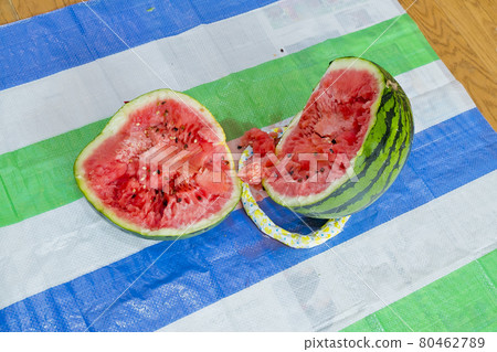 watermelon   80462789