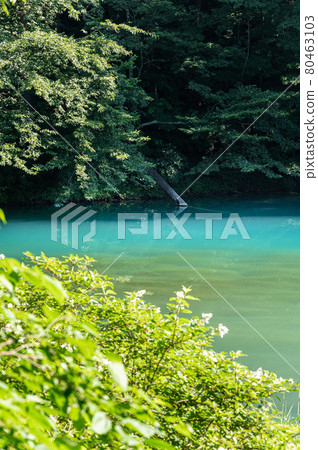 福島縣五色沼青沼北鹽原村 80463103