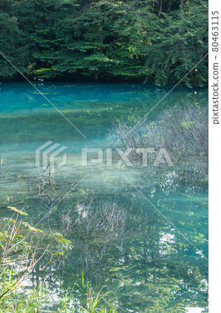 福島縣五色沼青沼北鹽原村 80463115