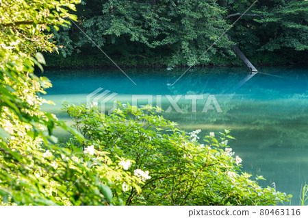 福島縣五色沼青沼北鹽原村 福島縣五色沼青沼北鹽原村 80463116