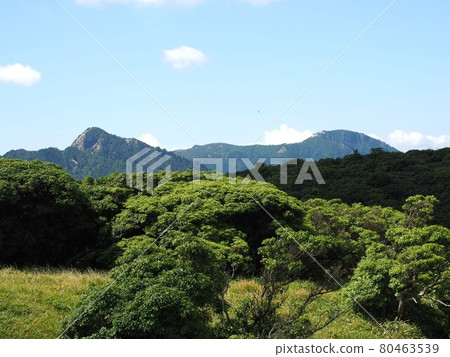 從牛道嶽山頂看到的鐮岳和禦在所山 從牛道嶽山頂看到的鐮岳和禦在所山 80463539