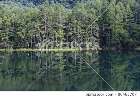 Shrine pond Shrine pond 80463707