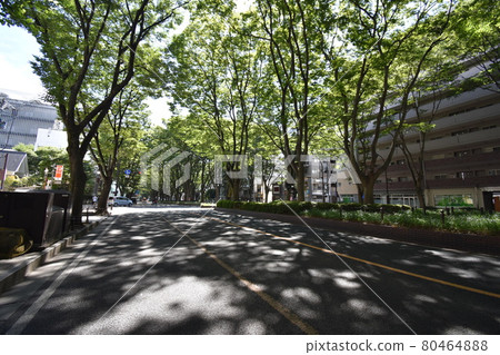宮城縣仙台市定善寺通媒體中心周邊的風景 80464888