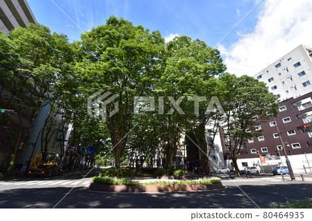 宮城縣仙台市定善寺通媒體中心周邊的風景 宮城縣仙台市定善寺通媒體中心周邊的風景 80464935