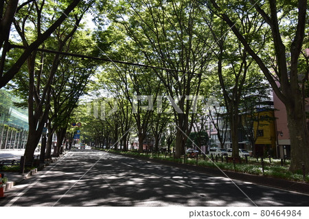 宮城縣仙台市定善寺通媒體中心周邊的風景 80464984