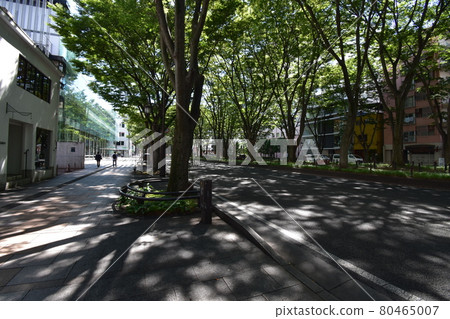宮城縣仙台市定善寺通媒體中心周邊的風景 80465007
