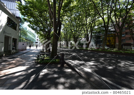 Scenery around Miyagi Sendai City Jozenji Dori Mediatheque 80465021