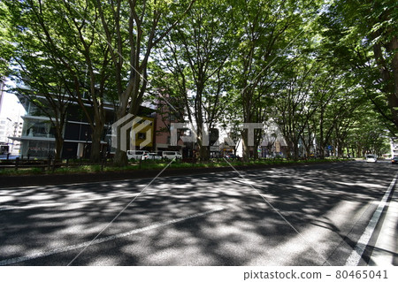 Scenery around Miyagi Sendai City Jozenji Dori Mediatheque Scenery around Miyagi Sendai City Jozenji Dori Mediatheque 80465041