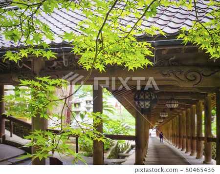 [Nara] Hase-dera climbing corridor 80465436