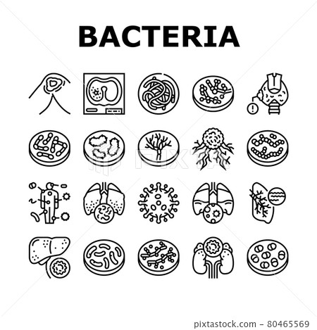Bacteria Infection Collection Icons Set Vector Bacteria Infection Collection Icons Set Vector 80465569