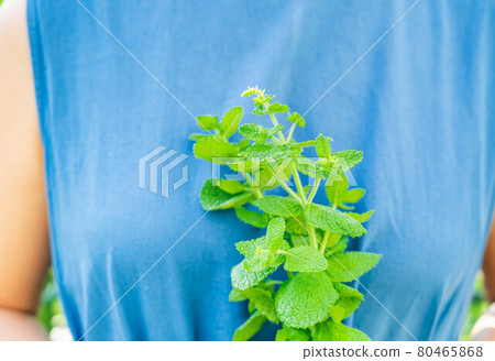 有蘋果薄荷葉的女人 80465868