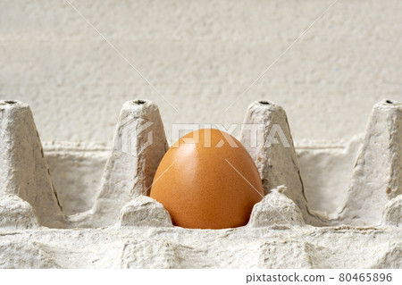 One brown egg in a cardboard close-up view One brown egg in a cardboard close-up view 80465896