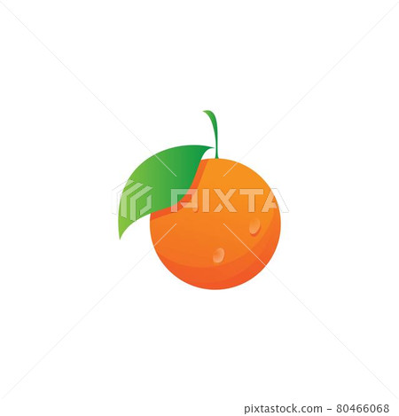 Orange logo design Vector icon illustration 80466068