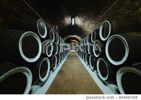 Old wine oak barrels in the cellar at the winery 80466508