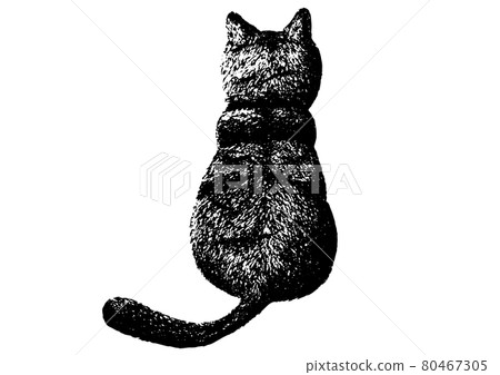 Pen drawing of the back of a cat - Stock Illustration [80467305] - PIXTA