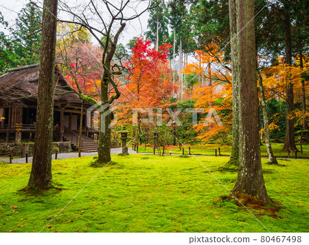 京都Sanzenin在秋天 80467498