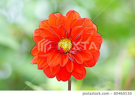 粉彩風格的“大麗花”插圖圖像 80468530